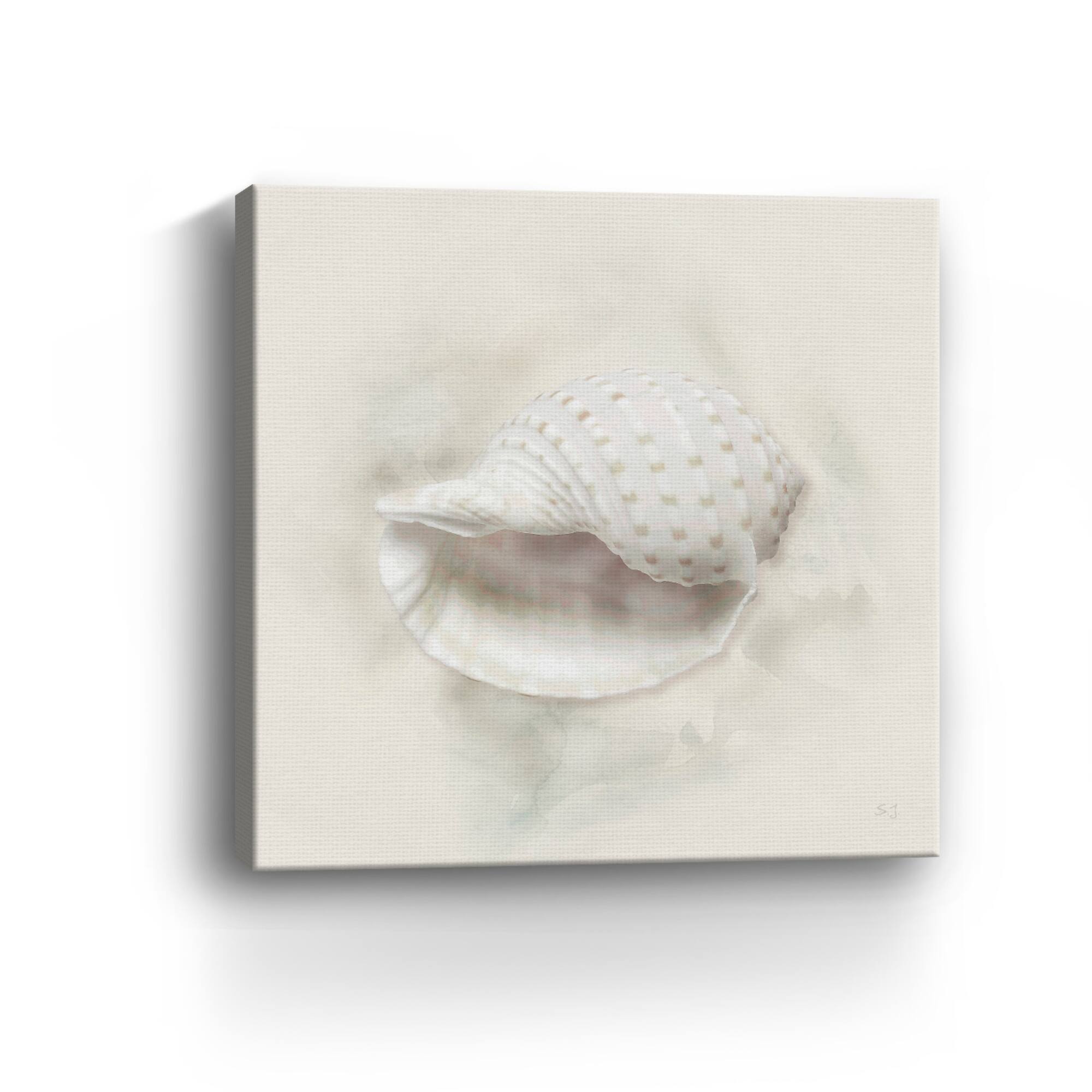 Soft Sand and Shell IV Canvas Giclee